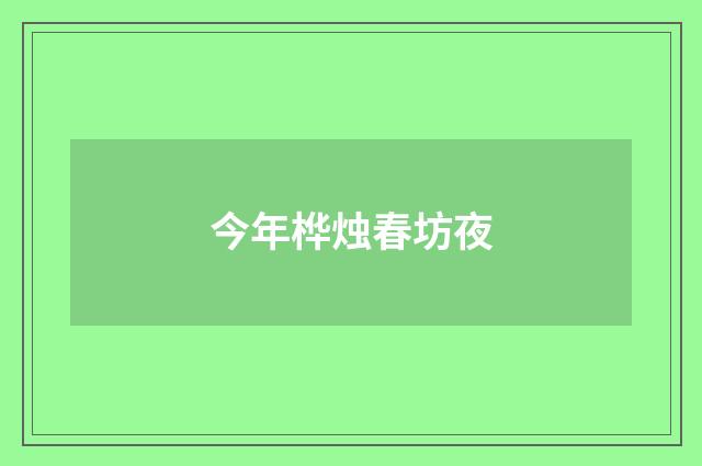 今年桦烛春坊夜