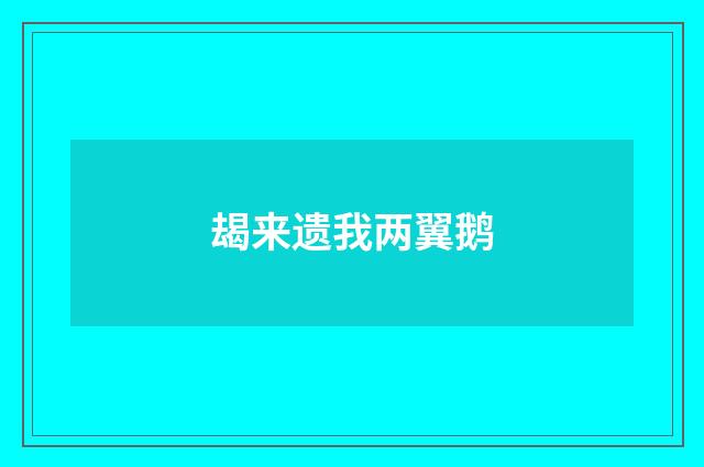 朅来遗我两翼鹅