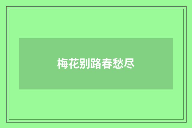 梅花别路春愁尽