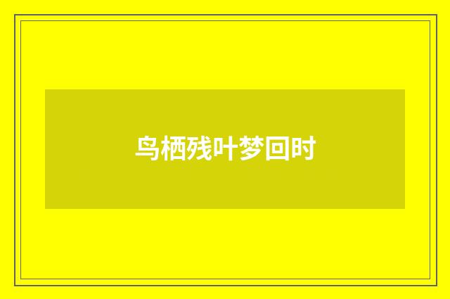鸟栖残叶梦回时