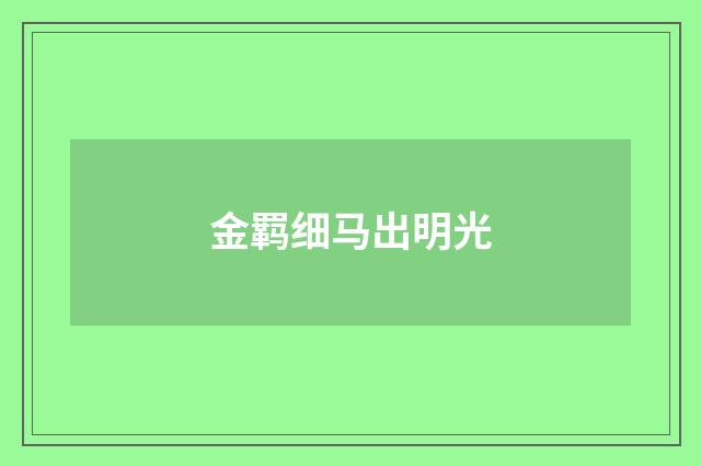 金羁细马出明光