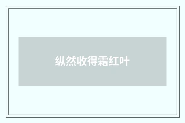 纵然收得霜红叶