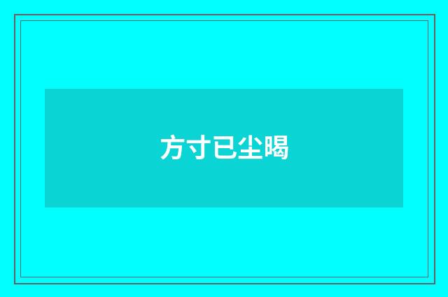 方寸已尘暍