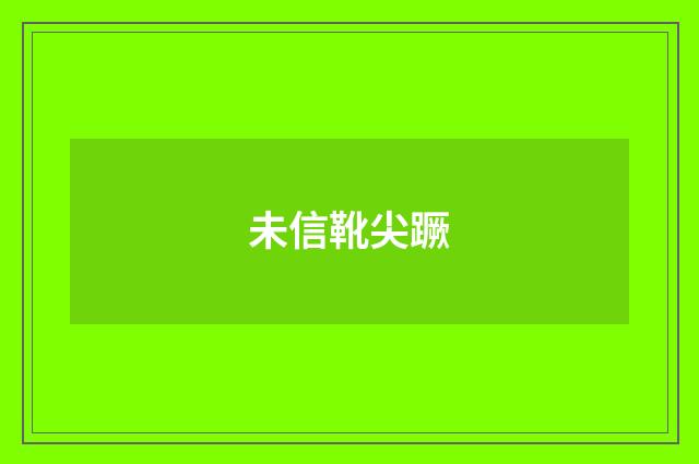未信靴尖蹶