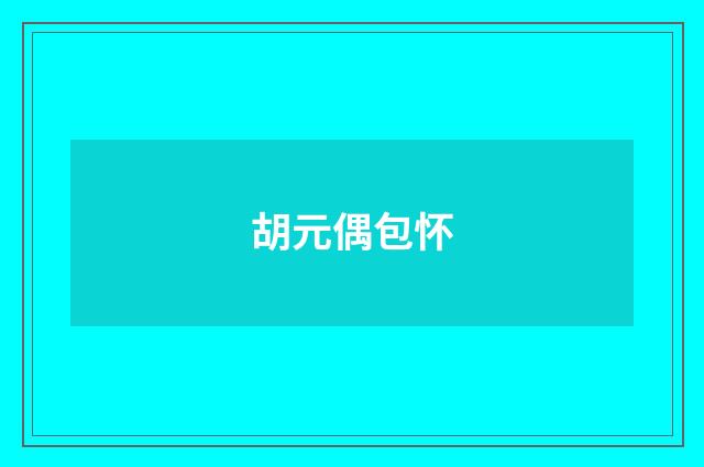 胡元偶包怀