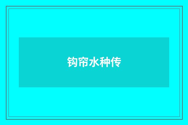 钩帘水种传