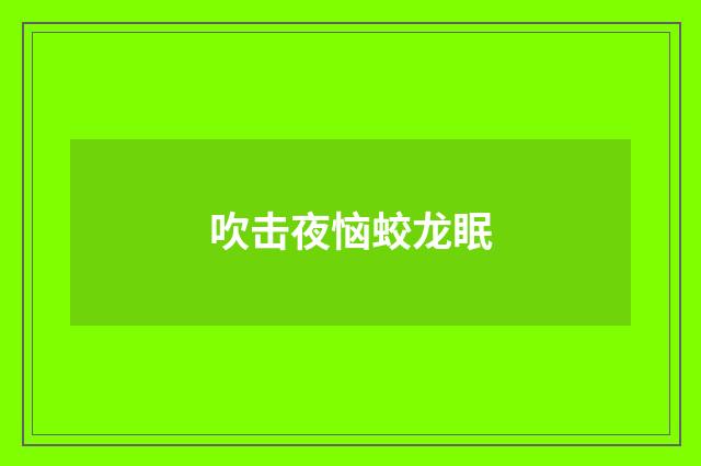 吹击夜恼蛟龙眠