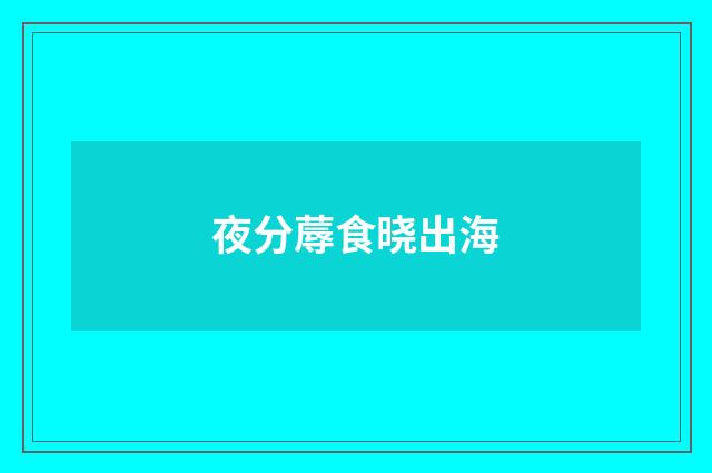 夜分蓐食晓出海