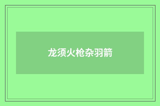 龙须火枪杂羽箭