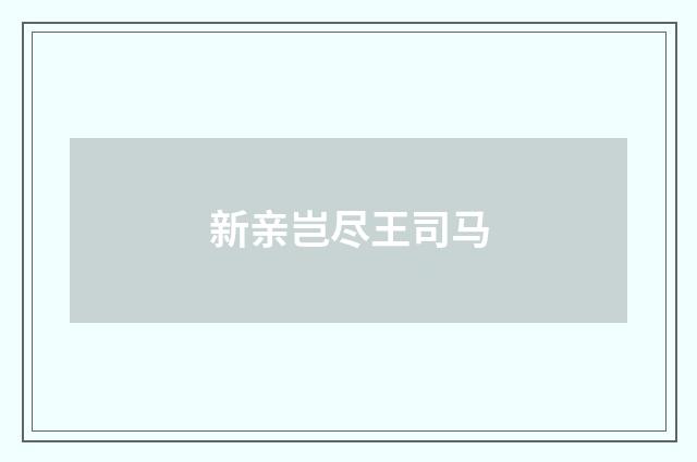 新亲岂尽王司马