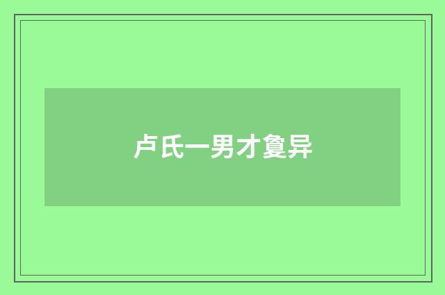 卢氏一男才敻异