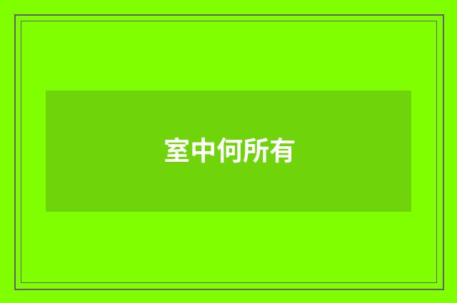 室中何所有