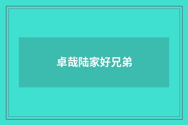 卓哉陆家好兄弟