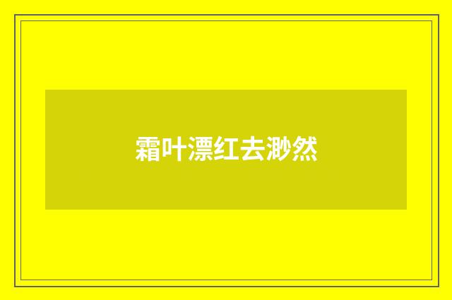霜叶漂红去渺然