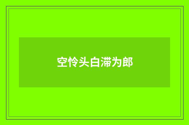 空怜头白滞为郎