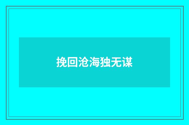 挽回沧海独无谋