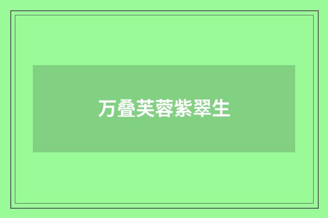 万叠芙蓉紫翠生