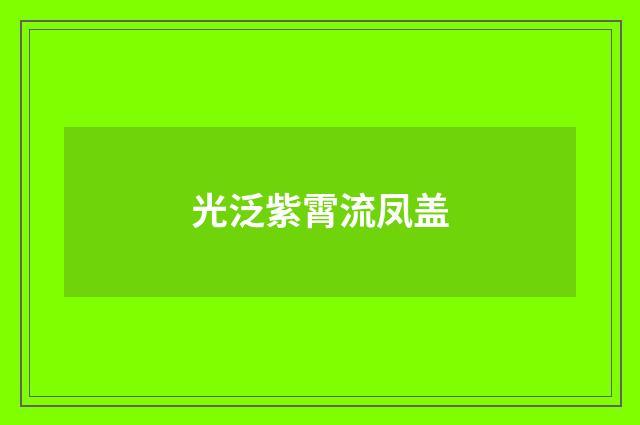 光泛紫霄流凤盖