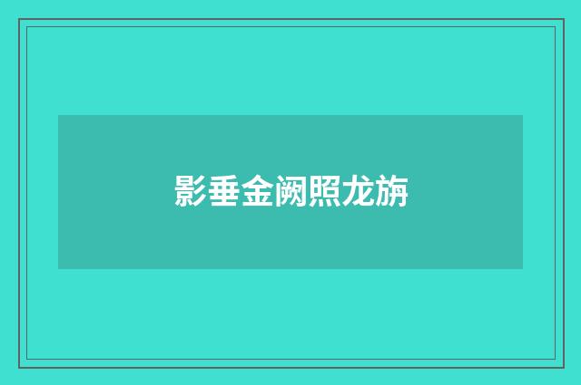 影垂金阙照龙旃