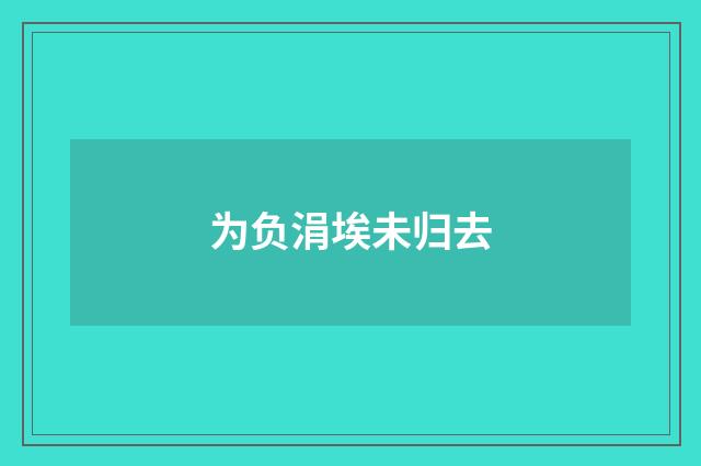 为负涓埃未归去