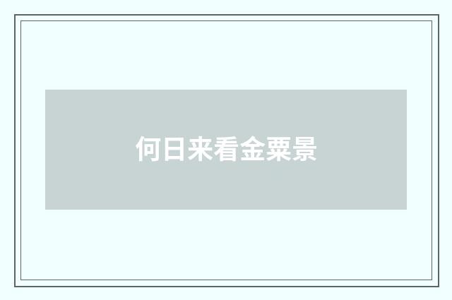 何日来看金粟景