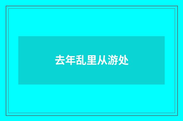 去年乱里从游处