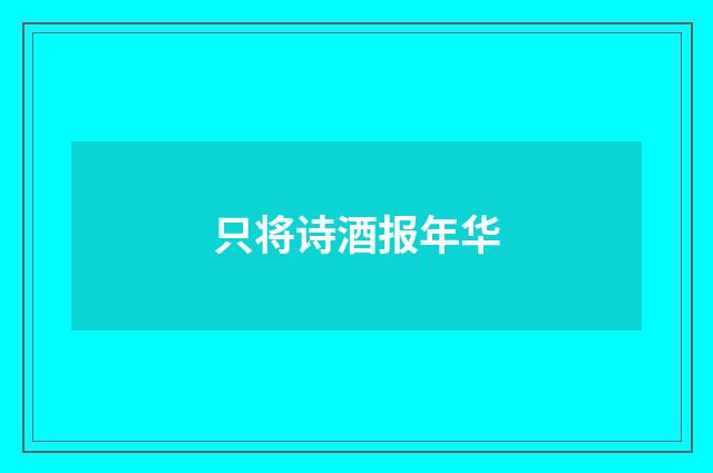 只将诗酒报年华