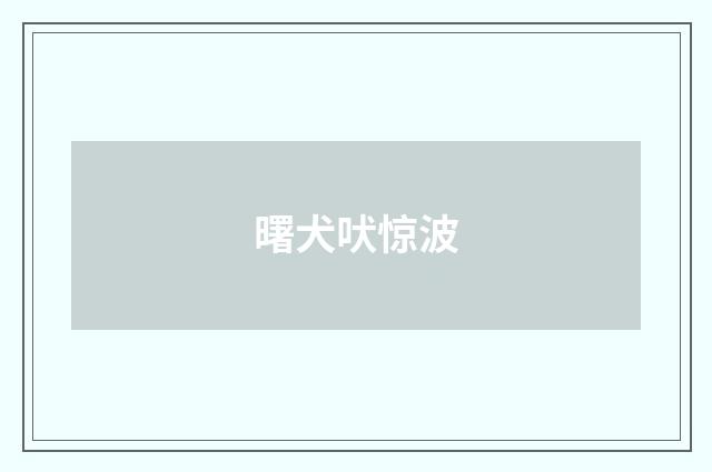 曙犬吠惊波