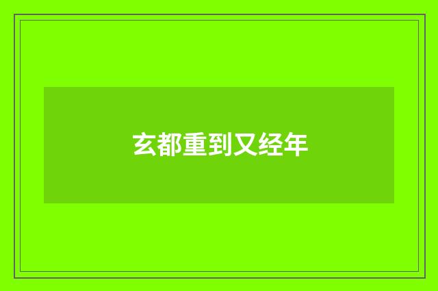 玄都重到又经年