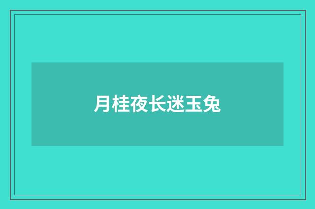 月桂夜长迷玉兔