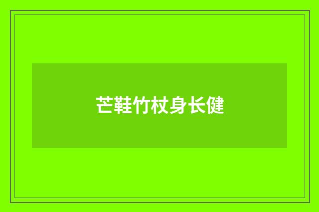 芒鞋竹杖身长健