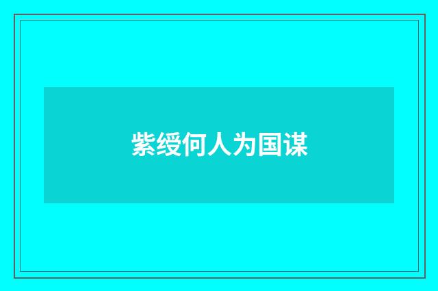 紫绶何人为国谋