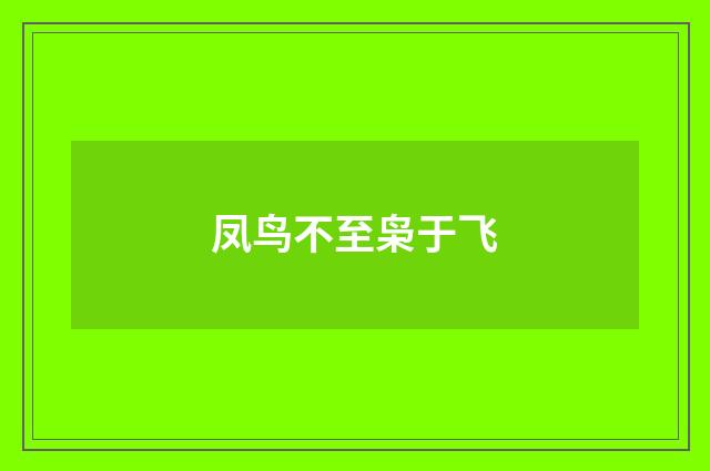 凤鸟不至枭于飞