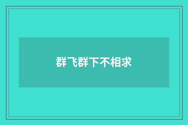 群飞群下不相求