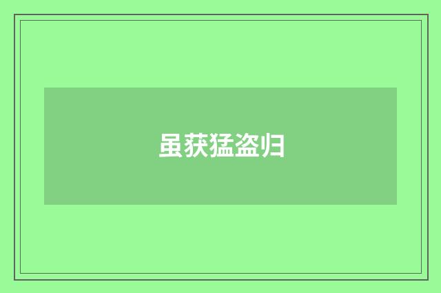 虽获猛盗归