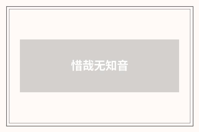 惜哉无知音