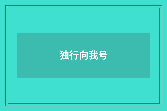 独行向我号