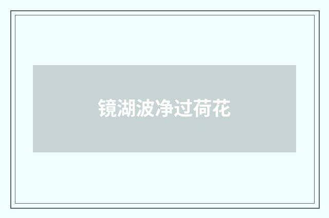 镜湖波净过荷花