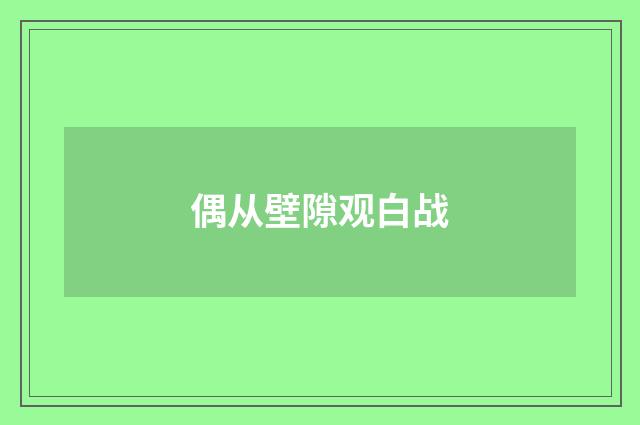 偶从壁隙观白战