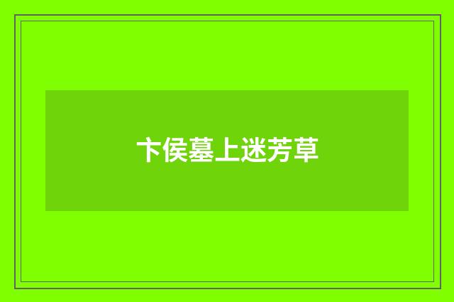 卞侯墓上迷芳草