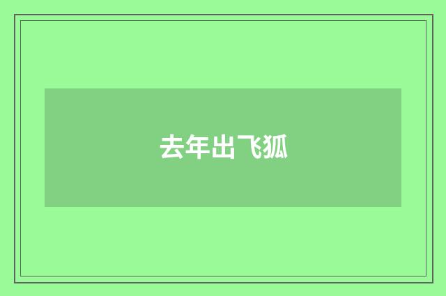 去年出飞狐