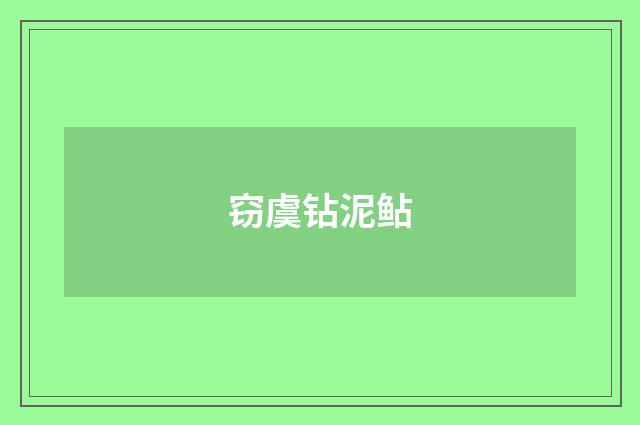 窃虞钻泥鲇