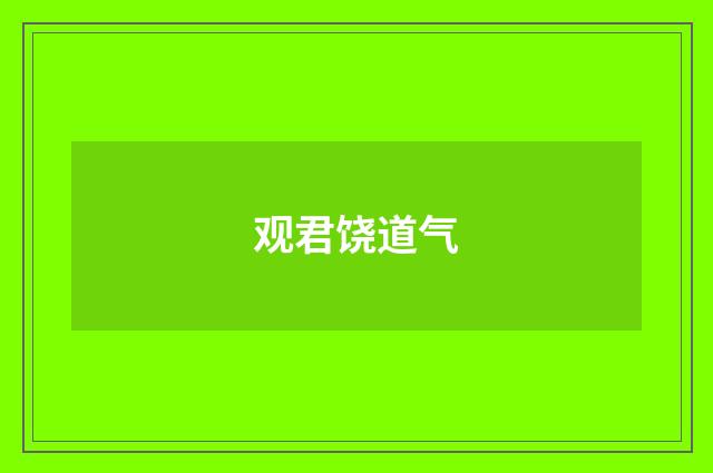 观君饶道气
