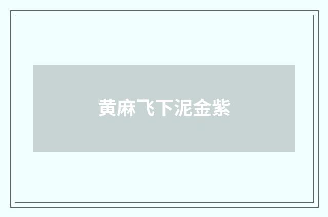黄麻飞下泥金紫