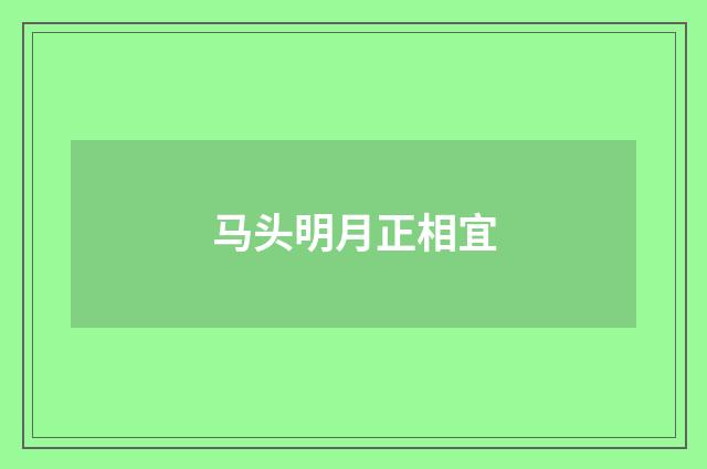 马头明月正相宜