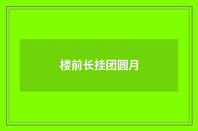 楼前长挂团圆月