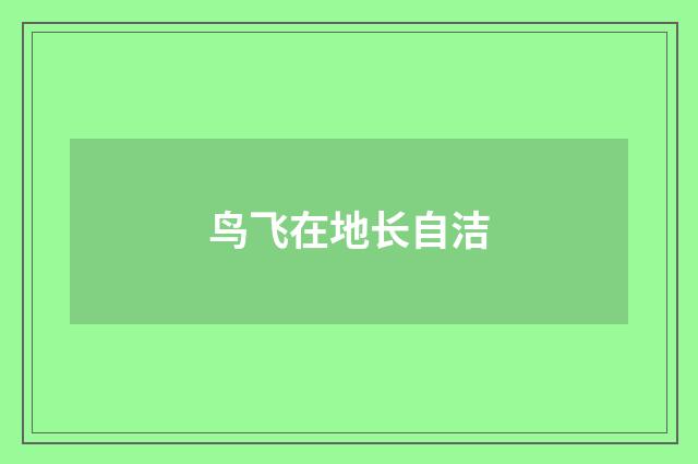 鸟飞在地长自洁