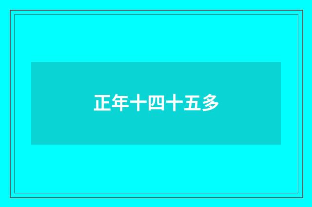 正年十四十五多