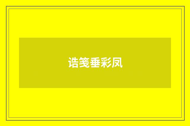 诰笺垂彩凤