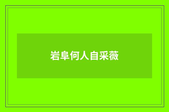 岩阜何人自采薇
